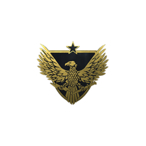 Brigadier General Pin