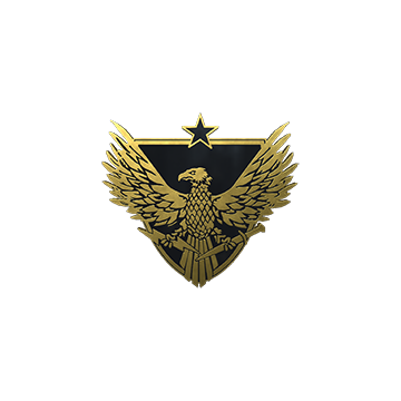 Brigadier General Pin