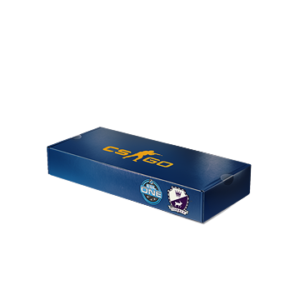 ESL One Cologne 2014 Cobblestone Souvenir Package
