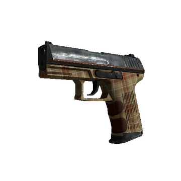 P2000 | Coach Class (Minimal Wear)