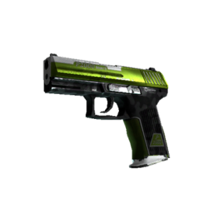 P2000 | Turf (Well-Worn)