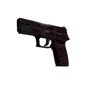 P250 | Contaminant (Well-Worn)