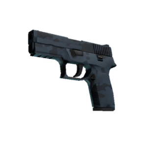 P250 | Forest Night (Factory New)