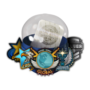 Skill Groups Capsule