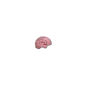 Sticker | CS On The Mind