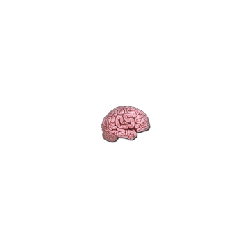 Sticker | CS On The Mind