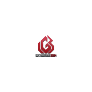 Sticker | LGB eSports | Katowice 2014