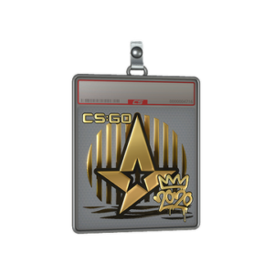 Sticker Slab | Astralis (Gold) | 2020 RMR