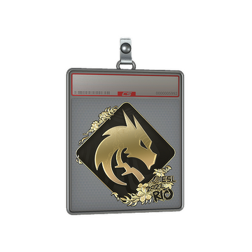 Sticker Slab | Team Spirit (Gold) | Rio 2022