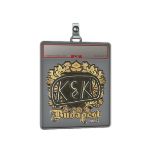 Sticker Slab | kyousuke (Gold) | Budapest 2025