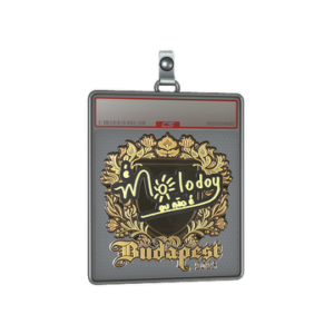 Sticker Slab | molodoy (Gold) | Budapest 2025