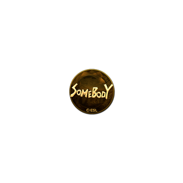 Sticker | somebody (Gold) | Katowice 2019
