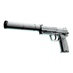 USP-S | Whiteout (Field-Tested)
