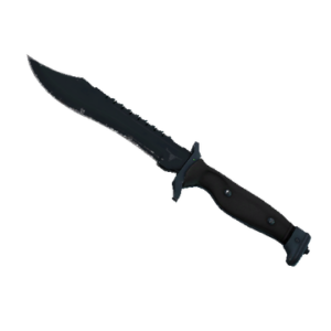 ★ Bowie Knife | Night (Field-Tested)