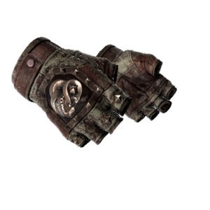 ★ Broken Fang Gloves | Needle Point (Battle-Scarred)