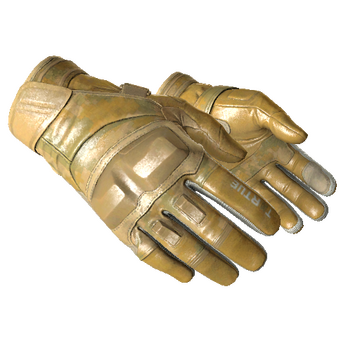★ Moto Gloves | Transport (Minimal Wear)