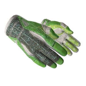 ★ Sport Gloves | Hedge Maze (Minimal Wear)